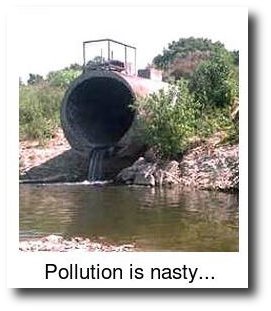 clean up pollution