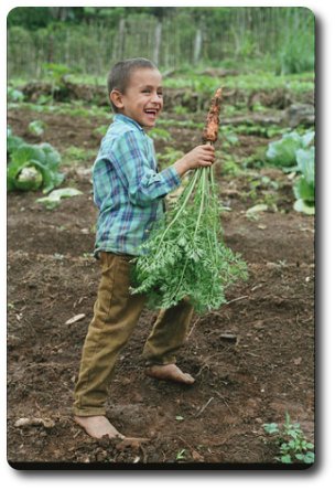 Carrot Boy